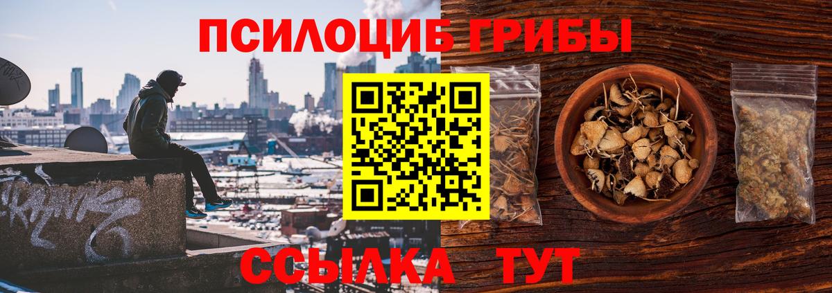 Галлюциногенные грибы GOLDEN TEACHER  Вход с VPN  Галлюциногенные грибы MAGIC MUSHROOMS  Тельмана 
